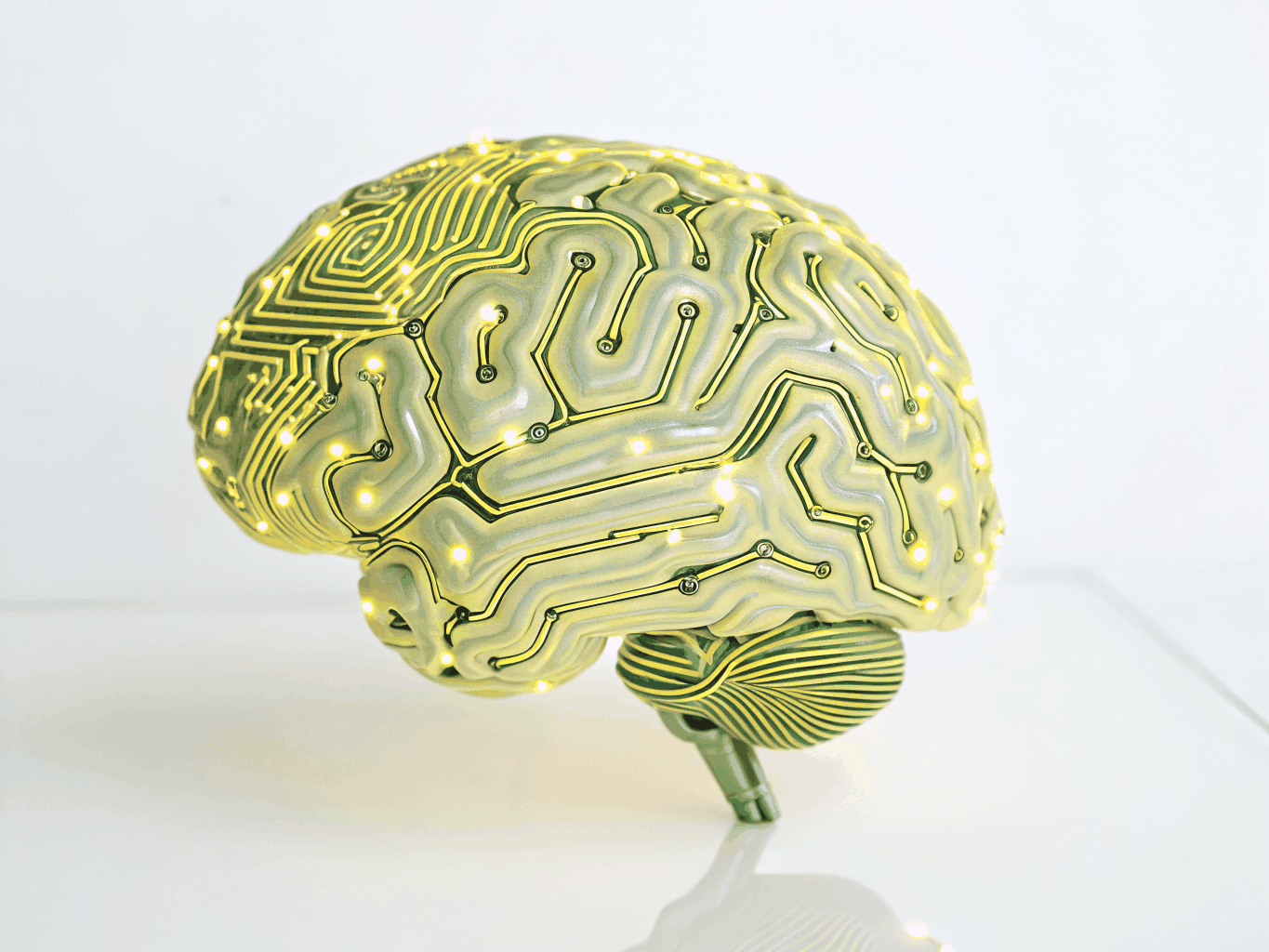 THE FUTURE OF AI